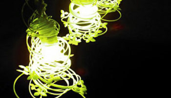 Design in the Palm of Your Hand: Foliage by Tazana
