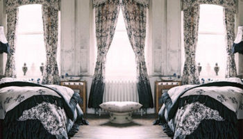 The Dalston Rose Collection by London's House of Hackney