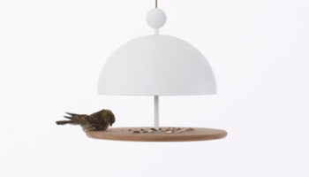 For the Birds: Dish of Desire by Frederik Roijé