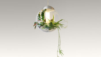 Pendant Plants: Babylone by Greenworks