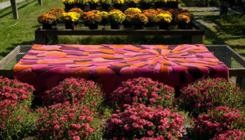 The Sunset Hand-Tufted Wool Area Rug by Angela Adams