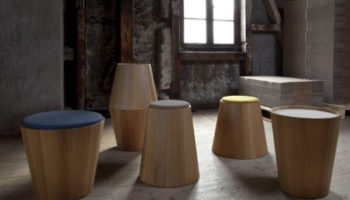 Gather Round the Tree: Coniferous Collection by Joint Perspectives