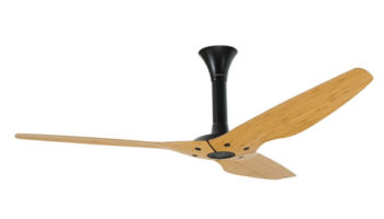 Haiku Fan Wins the 2012 International Red Dot Award