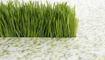 Top Ten: Brightening Bathroom Surfaces