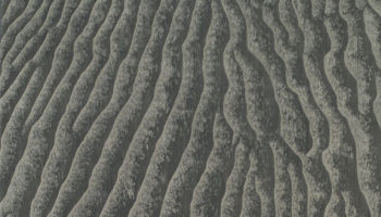 Vicente Wolf's Collection of Designer's Reserve Carpets for Tufenkian
