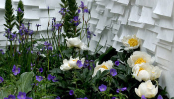 Tracy's Kendall's Outdoor Wallpaper