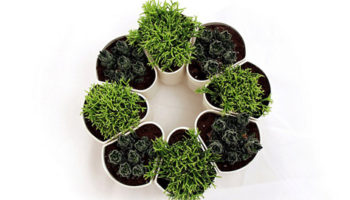 Green Thumbelina: The Elliot Modular Planter by Good Erdle