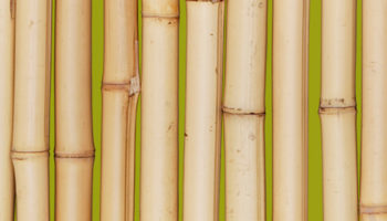 Top Ten: Faux Wood Wallcoverings