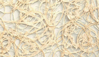 Heavenly Wallcovering: Cumulus by Weitzner Limited