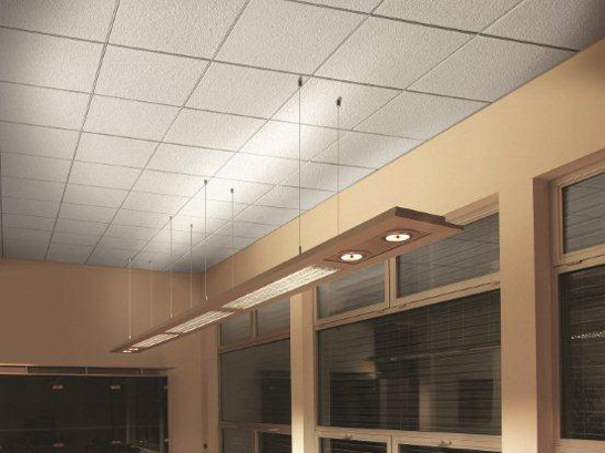 Breathe Easier with Bria ClimaPlus Acoustical Ceiling Panel by USG