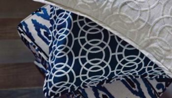 Beacon Hill and Ankasa's Iconic Collection