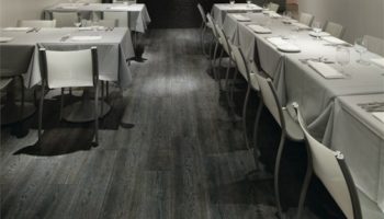 Keeping It Clean: Surface Trends