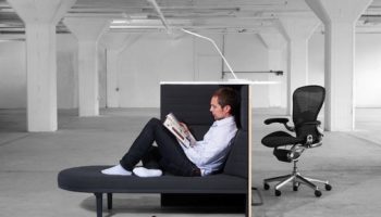 Perch Perfect: Contract Trend