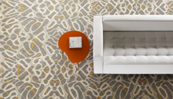 New Additions to the Vivid Palette by Shaw Hospitality Group