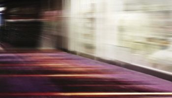 Allumé Carpet Collection by Milliken