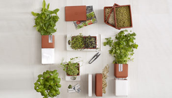 Kitchen Farming by Cult Design