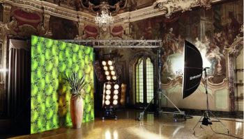 The I Giardini delle Meraviglie Collection by Giardini Wallcoverings