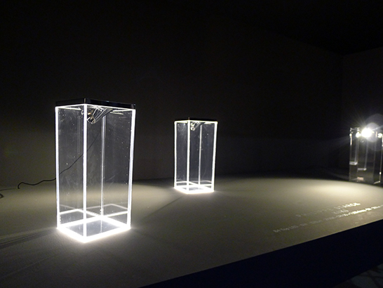 flos, philippe stark, kiki, milan 2013, Salone, Euroluce