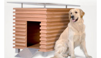 Top Ten: Pet Furniture