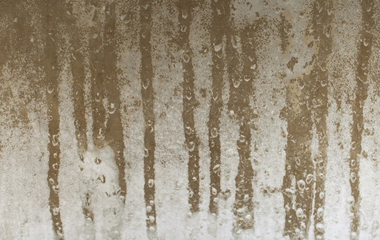 rugs, silk, wool, hand knotted, luxury, Tania Johnson, Glass Collection, flooring,