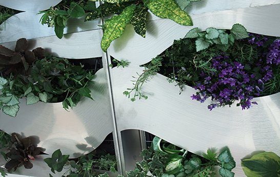William Lee, living wall system, plants, exterior