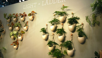 Light + Ladder Locally-Sourced Porcelain Planter Collection