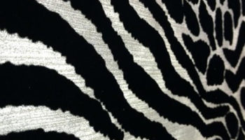 Wild Walls: Surfaces Trend