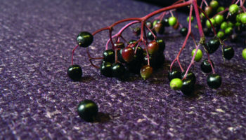 Camira's Blazer Collection