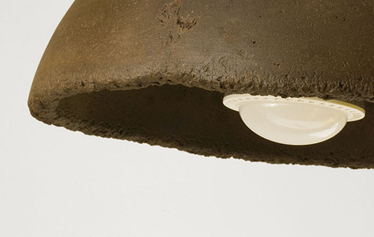 biodegradable, compostable, trend, green, composite materials, recycled, upcycled,