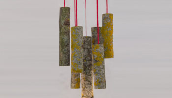 Bio Mass Light by Jay Watson