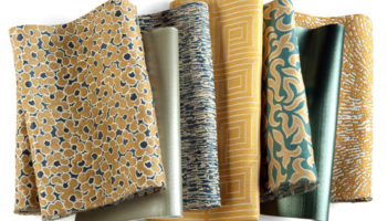 Dashing Collection by Pollack