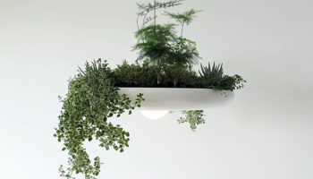 Give the Green Light: Green Trend