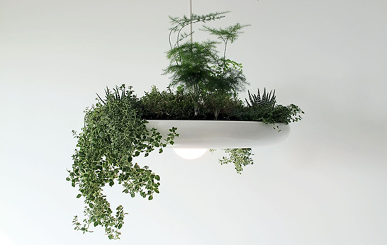 green, lighting, wellness, outdoor, indoor, patio lighting, lamps, plants, gardening, trend,