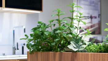 The Herb Kitchen: Kitchen Trend