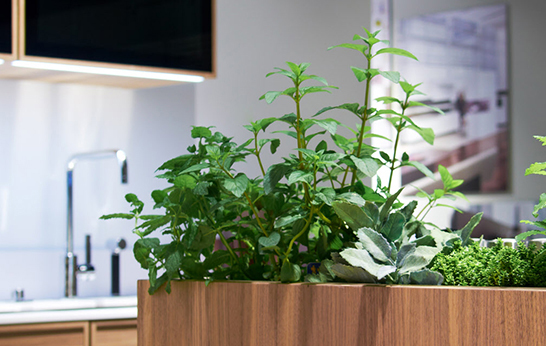 kitchen trends, herb gardens, modular, kitchen cabinets,