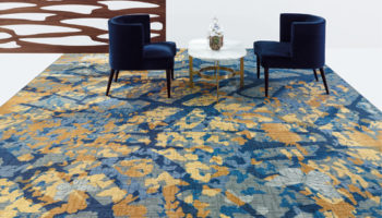 Natural Curiosities by David Rockwell for Shaw Hospitality Group