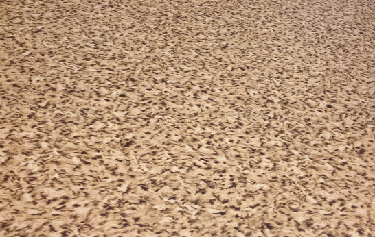Heimtextil 2015: Trends Round Up Part 1 Heimtextil 2015, Trends, wallcoverings, fabrics, wallpapers, wallcoverings, top 5, top five, textiles,