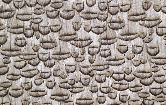 Heimtextil 2015: Trends Round Up Part 1 Heimtextil 2015, Trends, wallcoverings, fabrics, wallpapers, wallcoverings, top 5, top five, textiles,