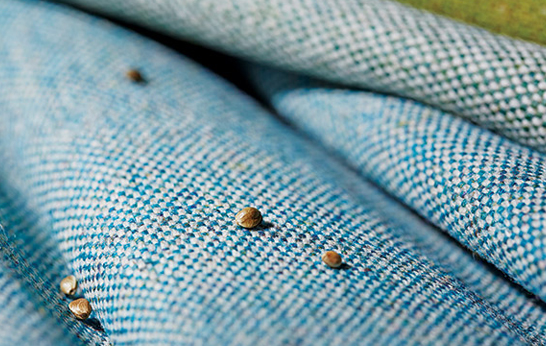 Main Line Flax by Camira