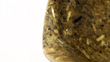 Sustainable Shells: Green Trend