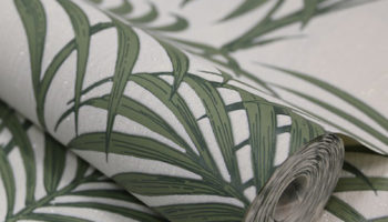 Club Tropicana : Surface Trend