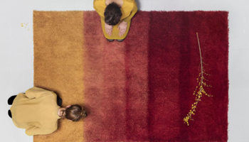 Red Red Wine: Color Trend