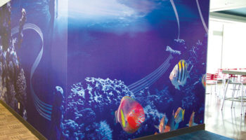 Enliven Your Surface with HD Walls