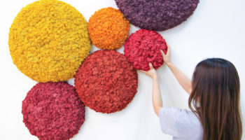 Nordgrona Reindeer Moss Wall Panels
