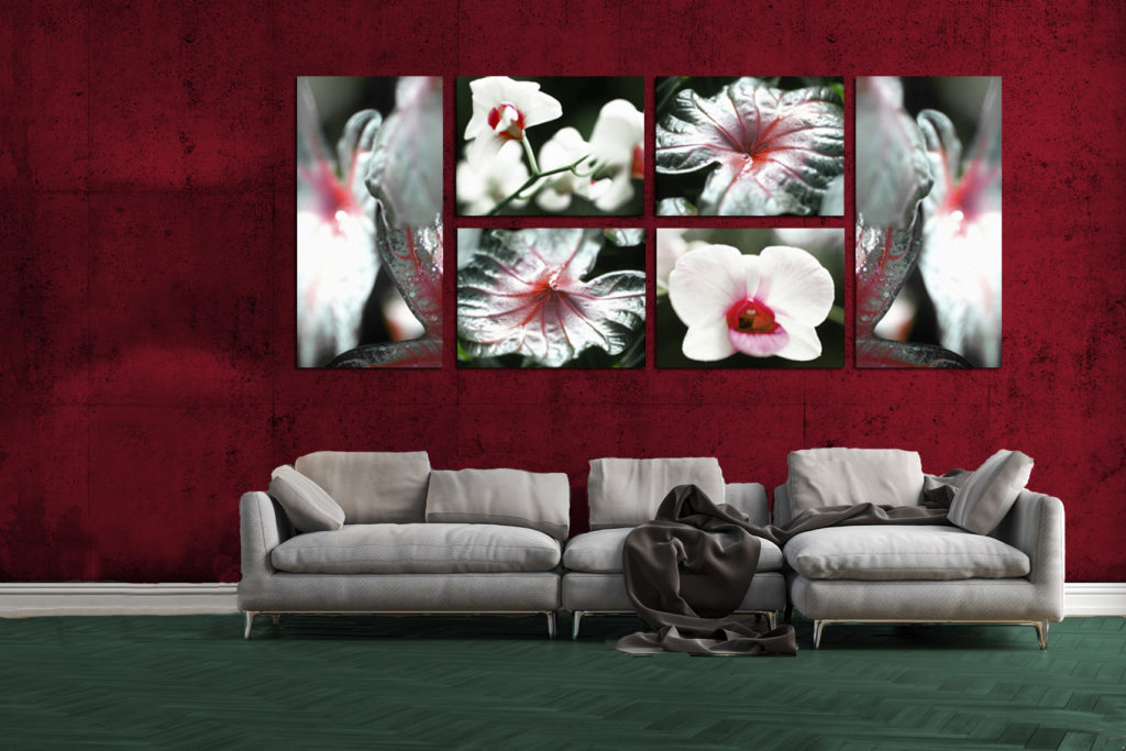 tela 100 By tela-design
