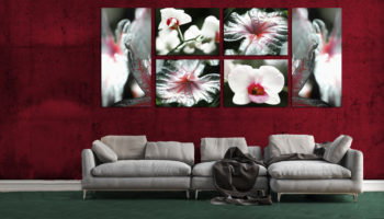 tela 100 By tela-design
