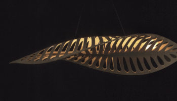 Navicula by David Trubridge