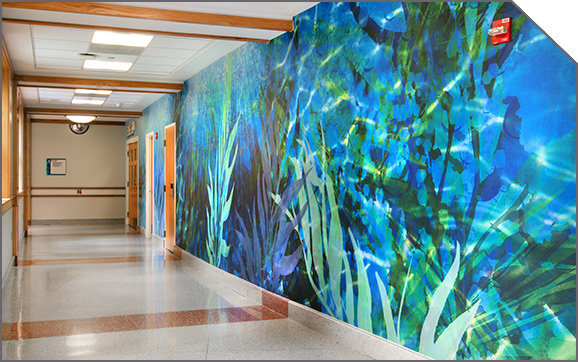 Enhance Healthcare with Acrovyn by Design