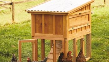 Red Cedar Chicken Coop by Bambeco