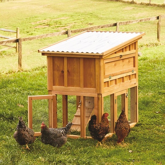 Red Cedar Chicken Coop by Bambeco Red Cedar Chicken Coop by Bambeco